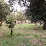 Villa Sofia