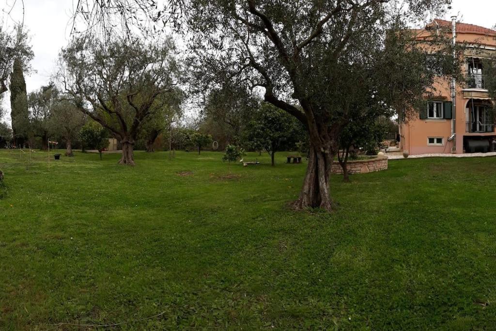 Sofia Acharavi (Corfu)